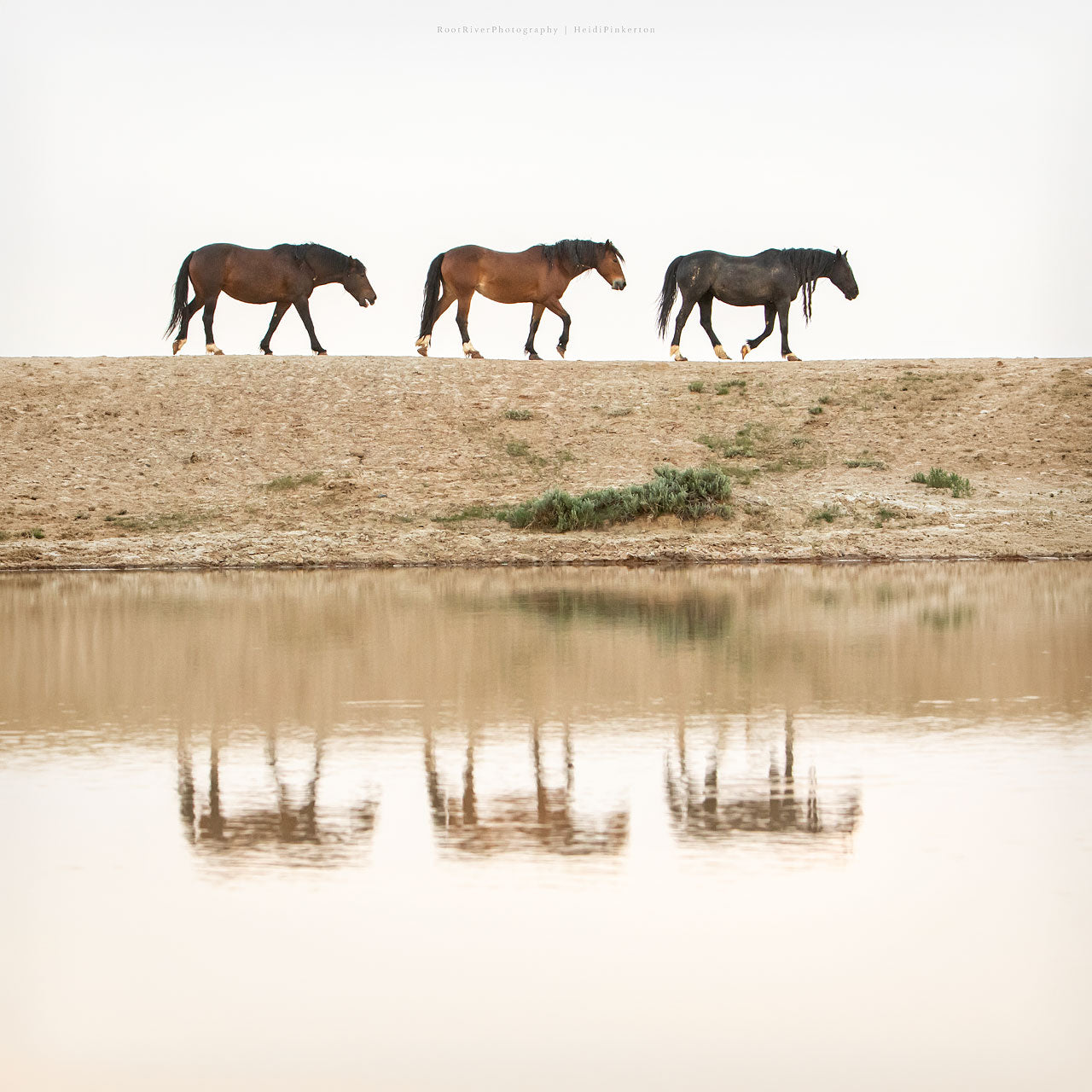 C | Ridgeline Reflections