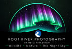 Root River Photography