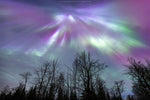 April's Splendor - Limited Edition Print (87)