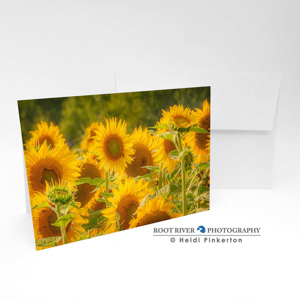 Greeting Card - Piragis6745-  H - Nature's Choir Sunflowers