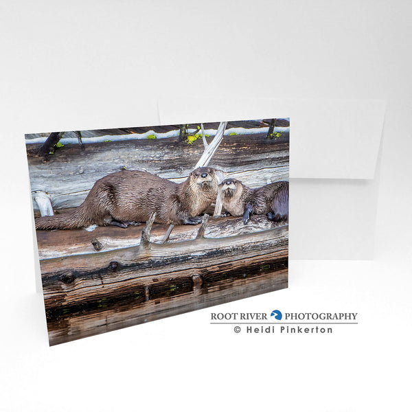 Greeting Card - Piragis6745-  H - Two Cute Otters