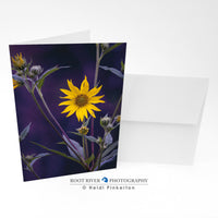 Greeting Card - Piragis6745-  V - Purple Haze Sunflowers