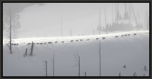 zz Pano - Wind Swept Ridge