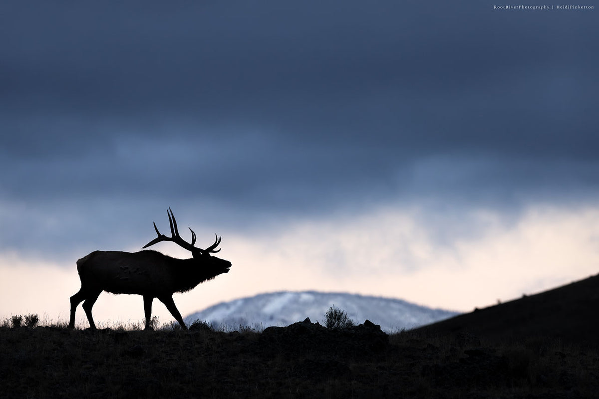 A closer look at the wild places