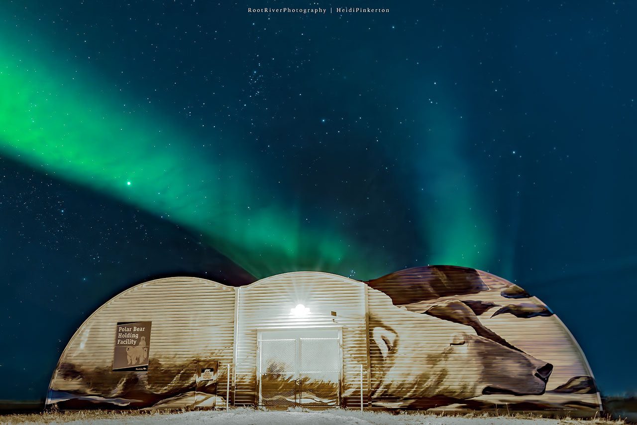 A | Where Art Meets the Aurora