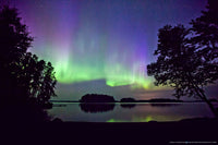 The Colors of August